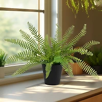 Sword Fern Faux Plant in Pot