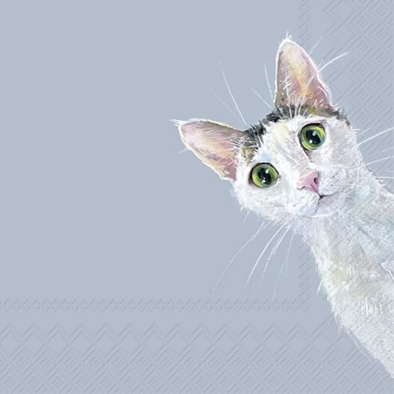 Cat Stella Serviettes de table, paquet de 20