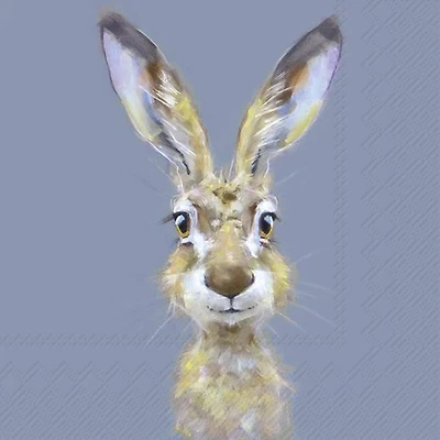Lunch Napkins, Pack of 20 - Rabbit Buster 