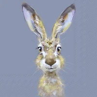 Lunch Napkins, Pack of 20 - Rabbit Buster 