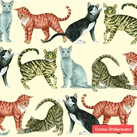 Package of 20 Cats Table Napkins
