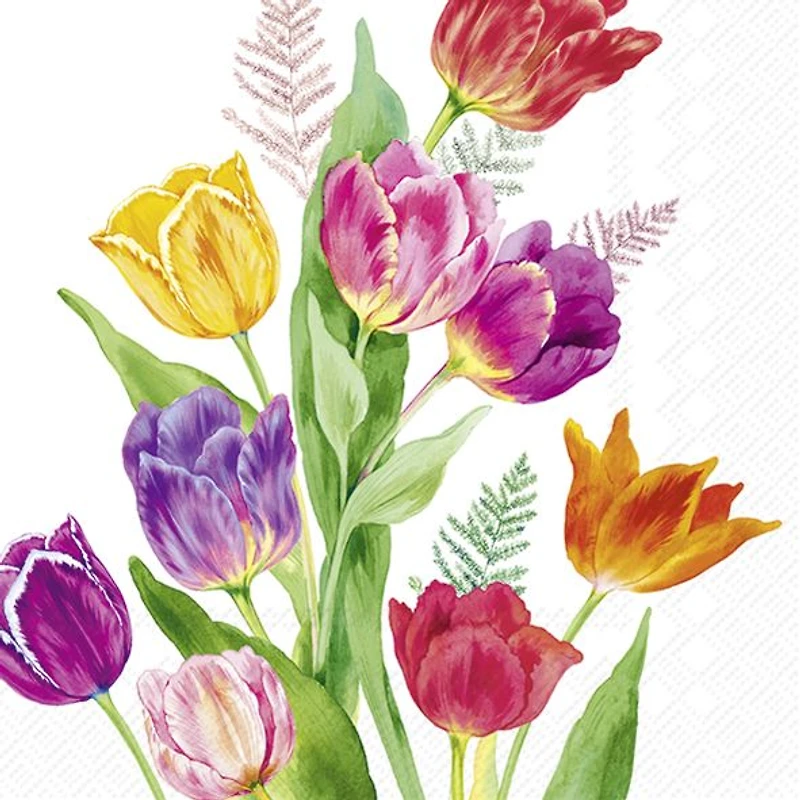 Bright Tulips Serviettes à cocktail, paquet de 20