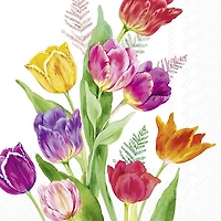 Bright Tulips Serviettes à cocktail, paquet de 20