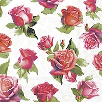 Cocktail Napkins, Pack of 20