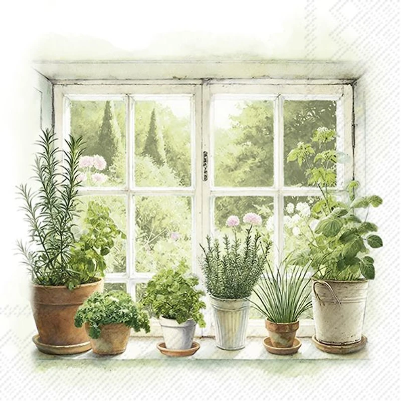 Home Grown Herbs serviettes de table, paquet de 20