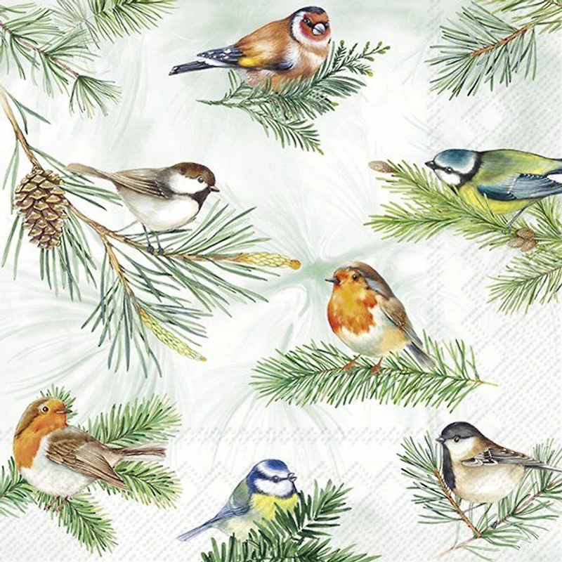 Luncheon Napkins, Pack of 20