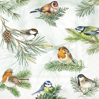 Luncheon Napkins, Pack of 20