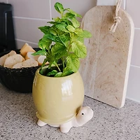Cache-pot tortue verte