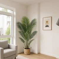 Grand Oasis Palm Tree