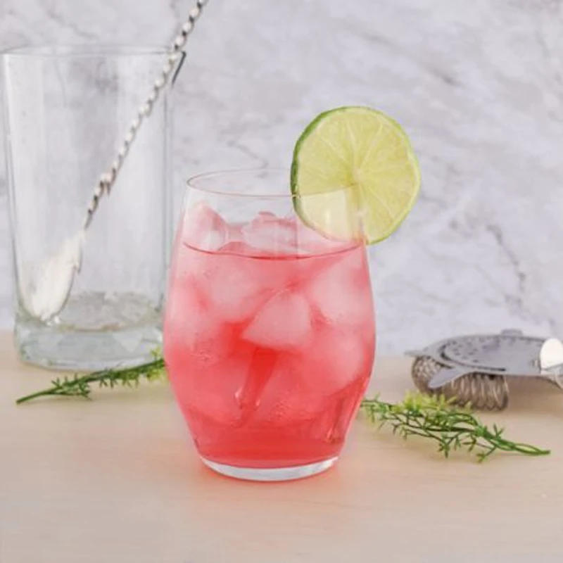 Santé Verres à vin sans pied, ensemble de 12 - 16 oz