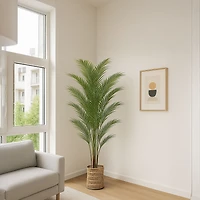 Cali Palm Tree