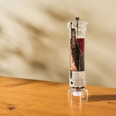 Santiago mélange pour grillades parfaites - 12 po 150 g