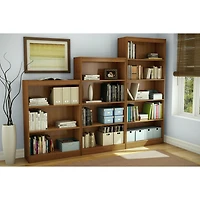 Axess 4-Shelf Bookcase