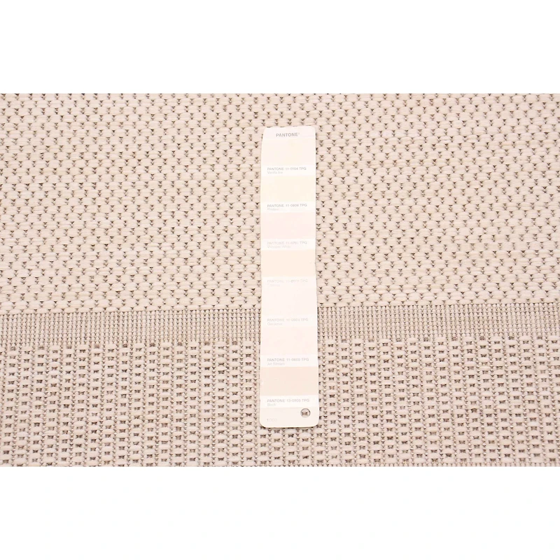 Sisal Beige and Ivory Rug