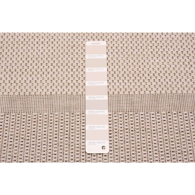 Sisal Beige and Ivory Rug