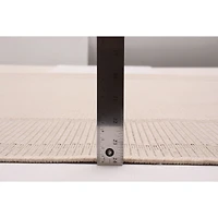 Sisal Beige and Ivory Rug