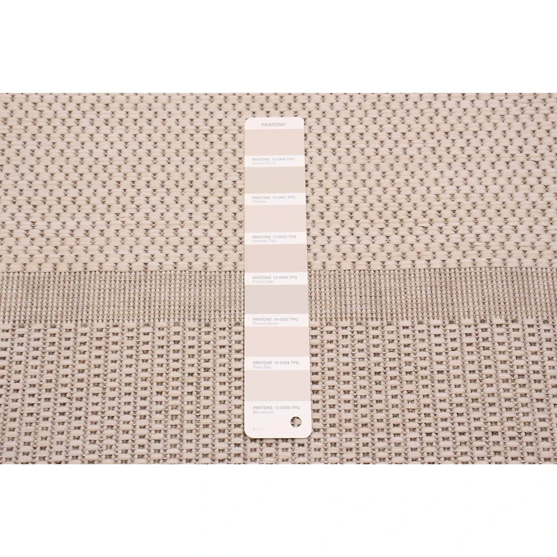 Sisal Beige and Ivory Rug