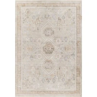 Eleanor Traditional Area Rug - Grey