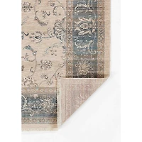 Monet Traditional Area Rug - Blue