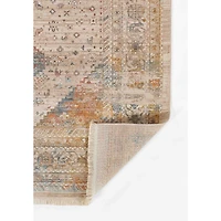 Ethel Traditional Area Rug - Multi