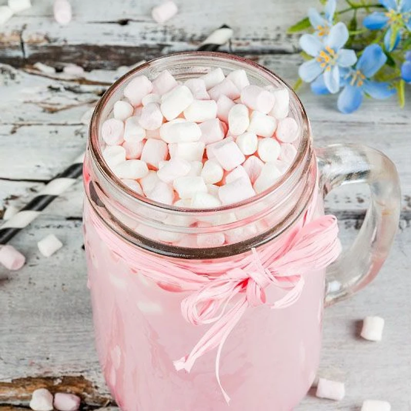 Whimsical Marshmallow Topping Hot Chocolate