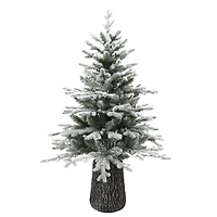 Noble Fraser Fir with LED - 4'