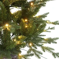 Jasper Elite Fraser Fir with LED - 4'