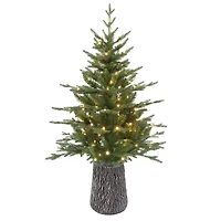 Sapin «Jasper Elite Fraser» avec DEL - 4 pi