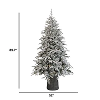 Noble Fraser Fir with LED - 7.5'