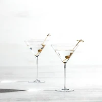 SZ 1872 Enoteca Martini (86) 9.9oz CP2