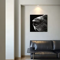 Canine Black and White Wall Art