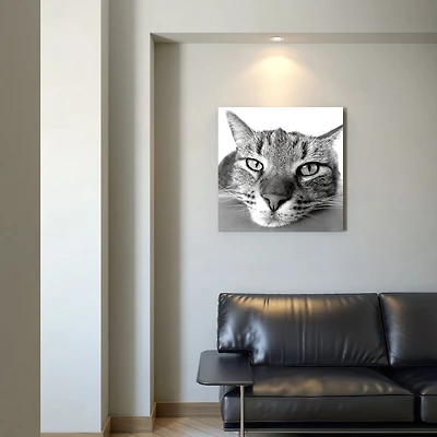 Panthera Black and White Photography Wall Art