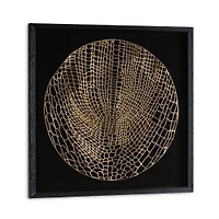 Laced Moon I Shadow Box