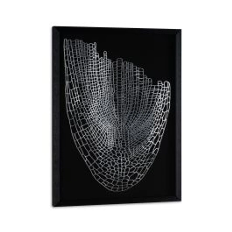 Soaring Silver Shadow Box