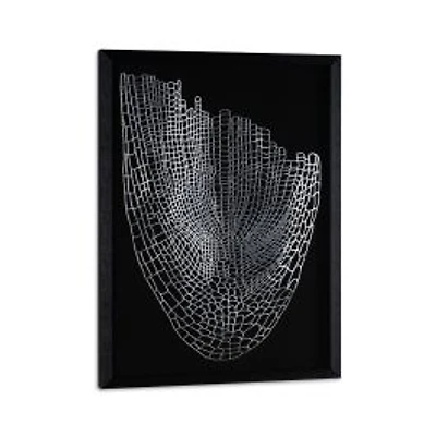 Soaring Silver Shadow Box