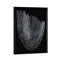 Soaring Silver Shadow Box
