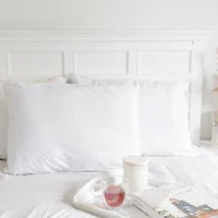 Jumbo Gusseted Pillow