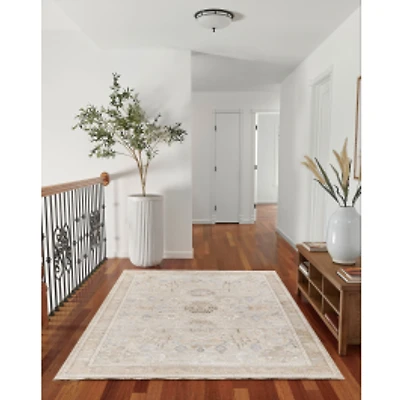 Eleanor Traditional Area Rug - Grey