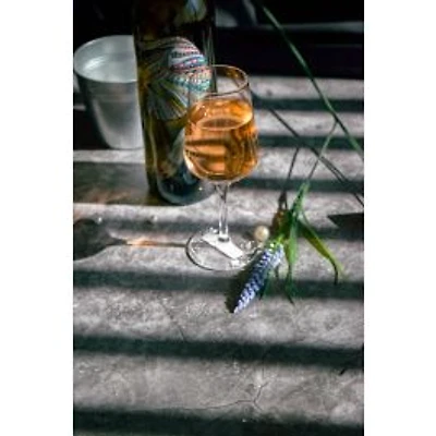 Set of 6 Temptation Riesling Glasses by Cuisivin