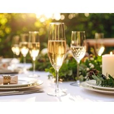 Bliss Champagne Glasses, Set of 6 - 6oz