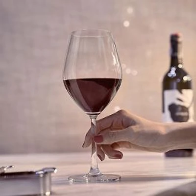 Santé Verres à vin rouge, ensemble de 12 - 14,75 oz