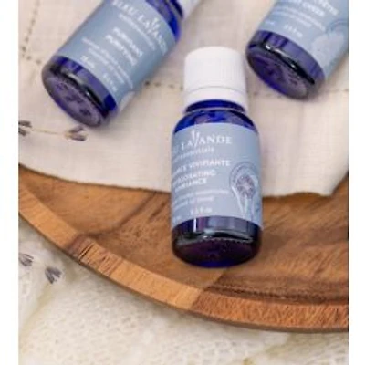 Bleu Lavande Set of 3 Essential Oils - Peaceful Diffusion