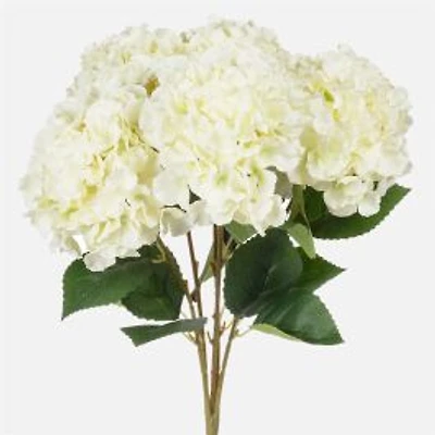 Hydrangea Bouquet, 5-Stem - White
