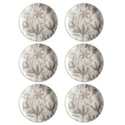 Set of 6 Dusk Taupe Dinner Plates by Maxwell & Williams (26.5 cm) - Taupe