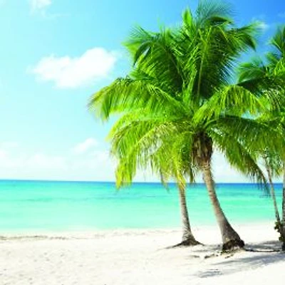Beach in the Caribbean Wallpaper Mural