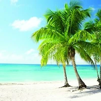 Beach in the Caribbean Wallpaper Mural