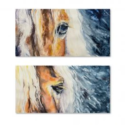 Close up of a Beautiful Horse's Eye Set of 2 Pieces