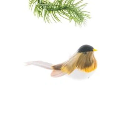Brown and Yellow Feathered Bird Ornament, Pack of 24