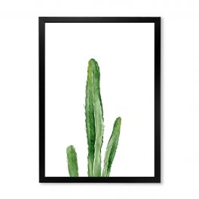 Green Cactus South Western Plant Botanical Detail Wall Art