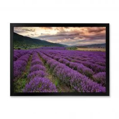 Lavender Field At Dawn I Wall Art